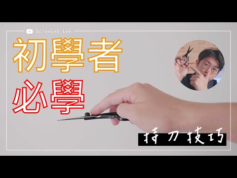 剪裁合度 意思
