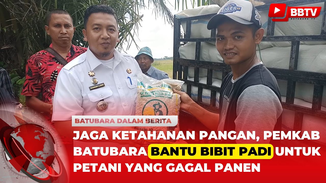 JAGA KETAHANAN PANGAN, PEMKAB BATUBARA BANTU BIBIT PADI UNTUK PETANI YANG GAGAL PANEN