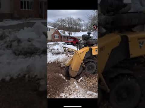 Stump Grinding in The Snow