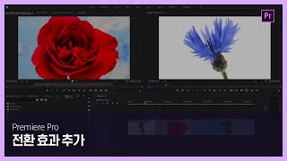 [프리미어 프로] #14 전환 효과 추가