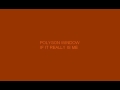 Polygon Window If It Really Is Me
