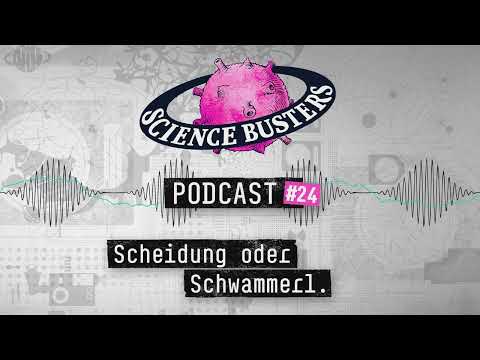 Scheidung oder Schwammerl | Science Busters Podcast #24