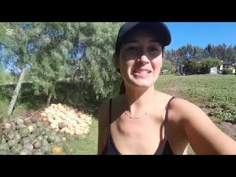 Salimos a las rutas!!! Destino Sosa Diaz - Canelones # 2° parte.