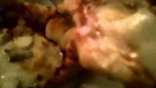 preview picture of video 'Gus & Tony's Pizza mushroom and canadian bacon pizza'
