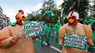 Decenas de miles se manifiestan en Bruselas durante la huelga nacional en Bélgica