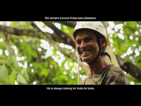 How to Release a Bird into the Wild - FreeWildlifeBrazil Celine