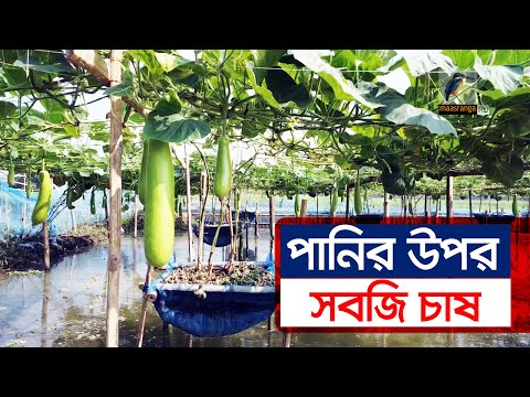 জলাবদ্ধ জমিতে বিশেষ উপায়ে সবজি চাষে সফলতা