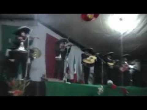 huapango de moncayo mariachi vasquez
