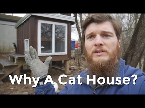 Why We Built a House for the Cats