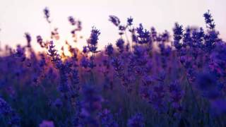 Jon Hopklins - Private Universe