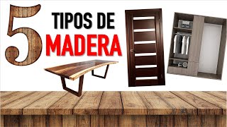 Conoce 5 TIPOS DE MADERAS para tus PROYECTOS * Características y Usos 