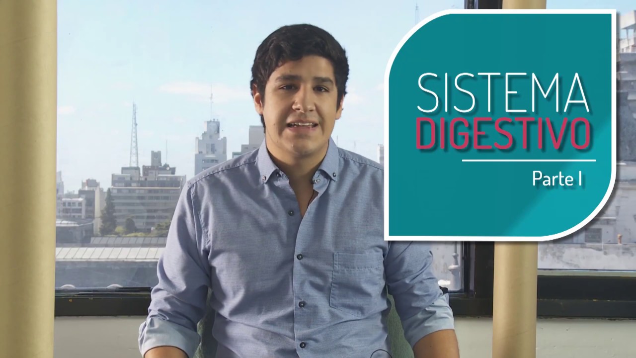 FISIOLOGÍA: Sistema Digestivo PARTE 1