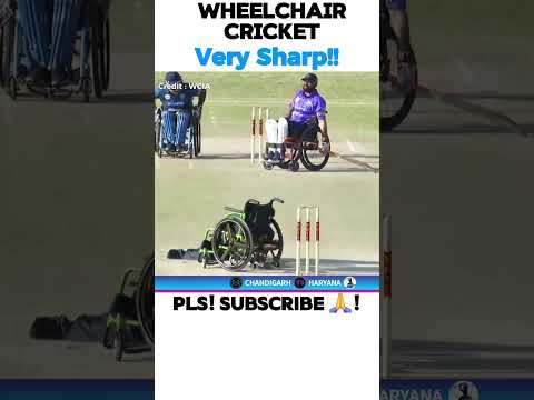 𝐖𝐡𝐞𝐞𝐥𝐜𝐡𝐚𝐢𝐫 𝐂𝐫𝐢𝐜𝐤𝐞𝐭 (226/1000) ♿️ 🏏  |  #wheelchaircricket #cricketfan #bigsix
