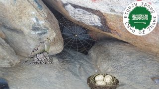 Download lagu Inside The Cave of Thawr (or Jabal Thawr) Makkah HD 🇸🇦 mp3