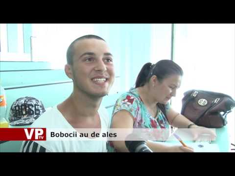 Bobocii au de ales
