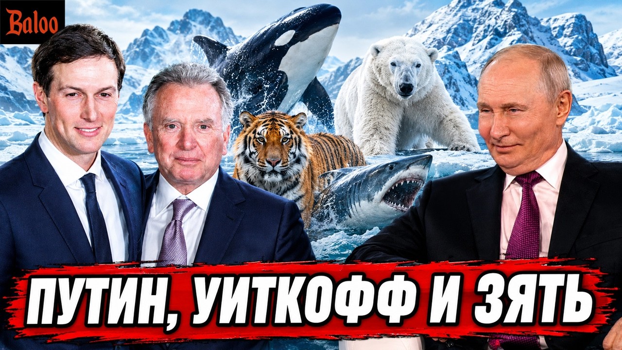 ПУТИН КОСАТКИ, МЕДВЕДИ, АКУЛЫ И ТИГРЫ | УИТКОФФ И ЗЯТЬ ЕДУТ В МОСКВУ И КИЕВ | ВЫ