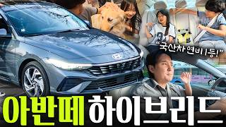  26년형 아반떼 하이브리드 장거리 시승기! 가성비 최고네요.!! 유튜브 썸네일