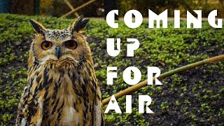 Coming Up For Air - Phillip Selway | Unofficial Music Video