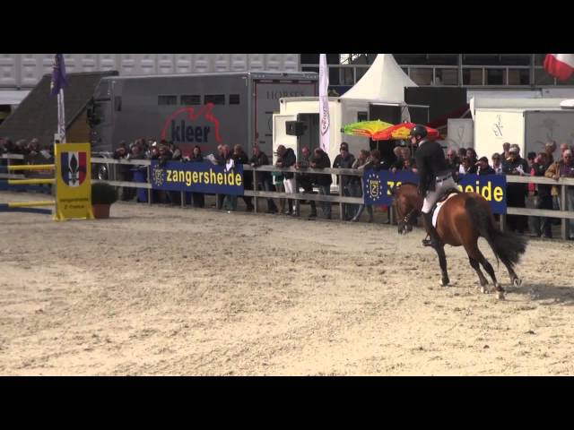 Half-brother of the mother of this Implanted Embryo is the Approved Stallion, Grand Prix 1.50m horse Boyfriend du Seigneur with rider Jerome Guery.