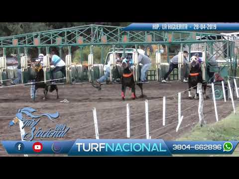 LA PORQUE - HIP. LA HIGUERITA 28/04/2019