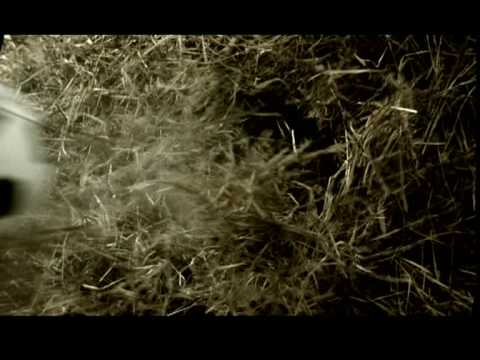 Spot para Aguila Amstel