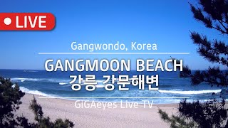 강릉실시간 강문해변 Live Cam I "Gangmoon beach", Gangwondo, Korea I 강릉바다 바다실시간 여행지 강원도일출 강릉일출 live webcam