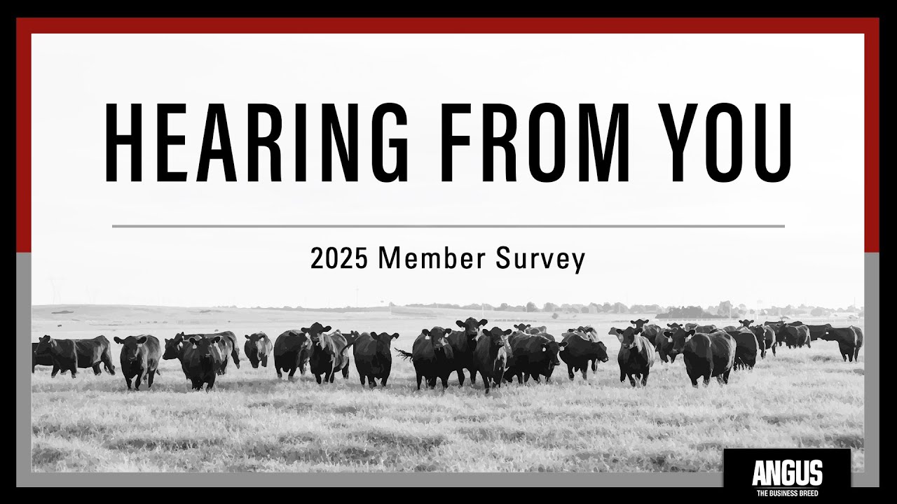 Hearing From You | 2025 Member Survey