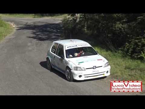 Rally Race 2018 Lanza-Zambelli 106 A6 - Passaggi esterni