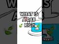 How A Dab Rig Works 420 Dab Wax Bong