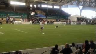 Incredible Dog Challenge Freestyle 2012 San Diego County Fair
