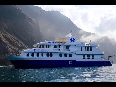 Cruise video 3