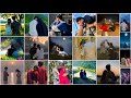 Cute Couple Hidden Dp Photos Couple Hidden Face Dp Couples Hand Dp Photos Images Pics