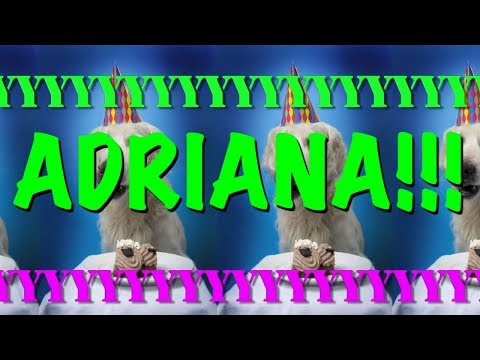 HAPPY BIRTHDAY ADRIANA! - EPIC Happy Birthday Song