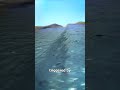 The Devastating 2004 Tsunami