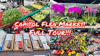 WEST WIND CAPITOL FLEA MARKET TOUR IN SAN JOSE CALIFORNIA!