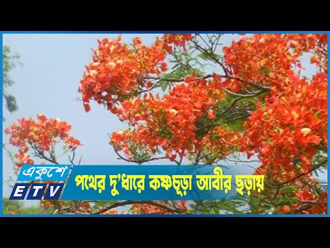 উষ্ণ শহরের তপ্ত আকাশতলে ফুলেদের মায়া