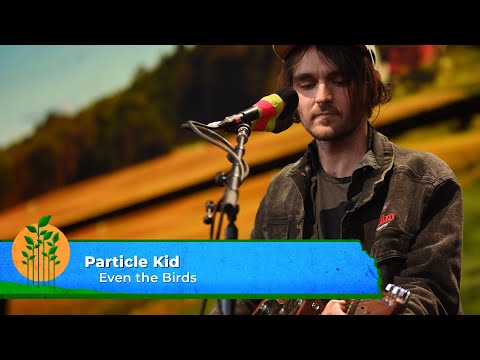 Particle Kid - Even the Birds (Live at Farm Aid 2023)