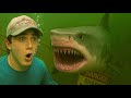 I Found A Pond Infested With Sharks