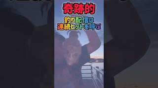 ［エギング］配信で連続ヒットする男 #釣り #エギング #アオリイカ #コウイカ