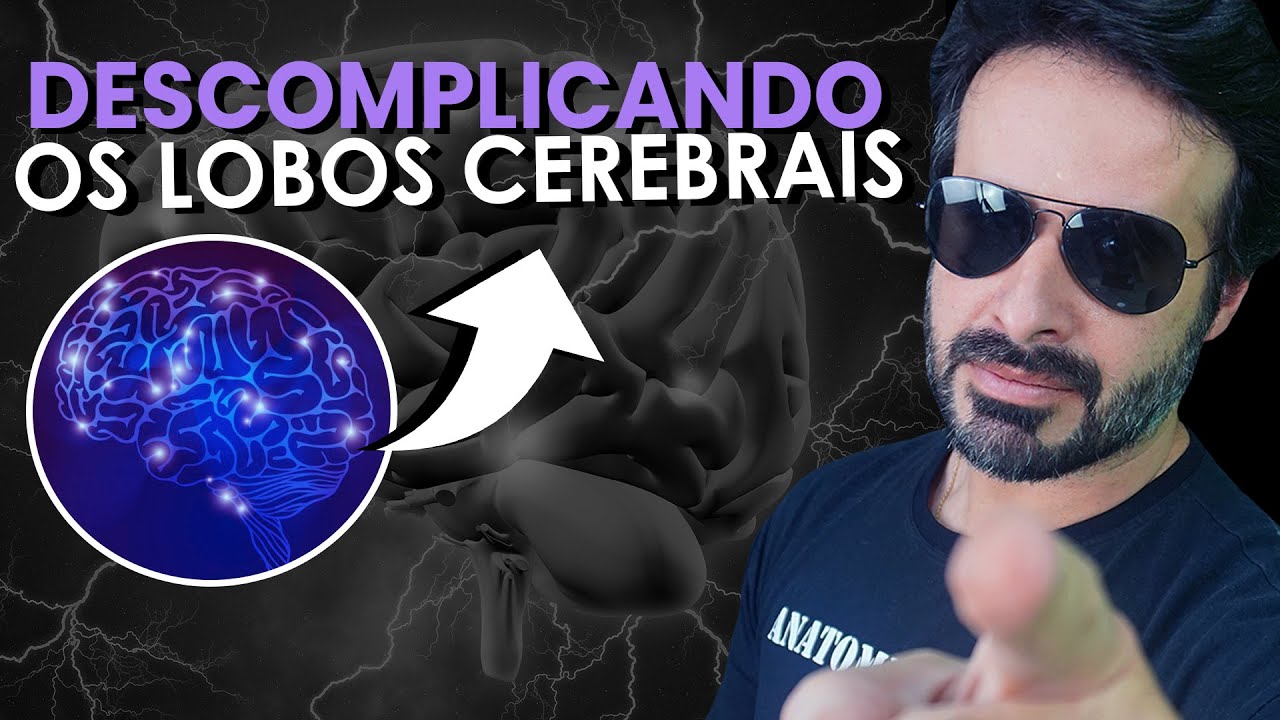 O Que é Anatomia Do Lobo O Que é Anatomia Do Lobo
