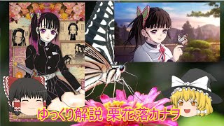 ゆっくり解説 栗花落カナヲ