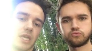 Liam Payne and Zedd Announce Their Single #GETLOW