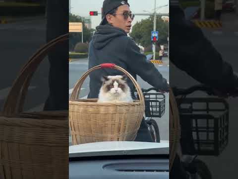 صاحب السيارة خرب ام السرقه 🤣🤣