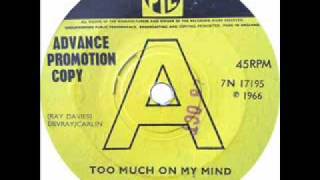 Too Much on My Mind - The Gates Of Eden