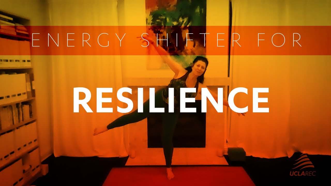 Energy Shifter for Resilience