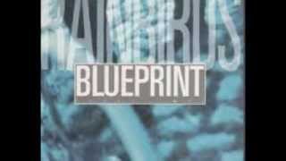 Rainbirds - Blueprint (lyrics on clip)