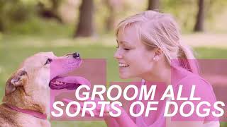 Dog Grooming School - How To Become A Dog Groomer