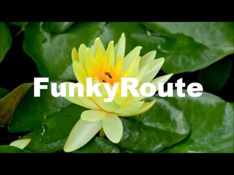 FunkyRoute  - Lilies of the Valley (Pina Remixed)