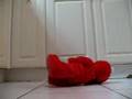 Elmo Can T Stop Laughing