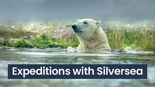 Epic Expeditions with Silversea | Panache Cruises